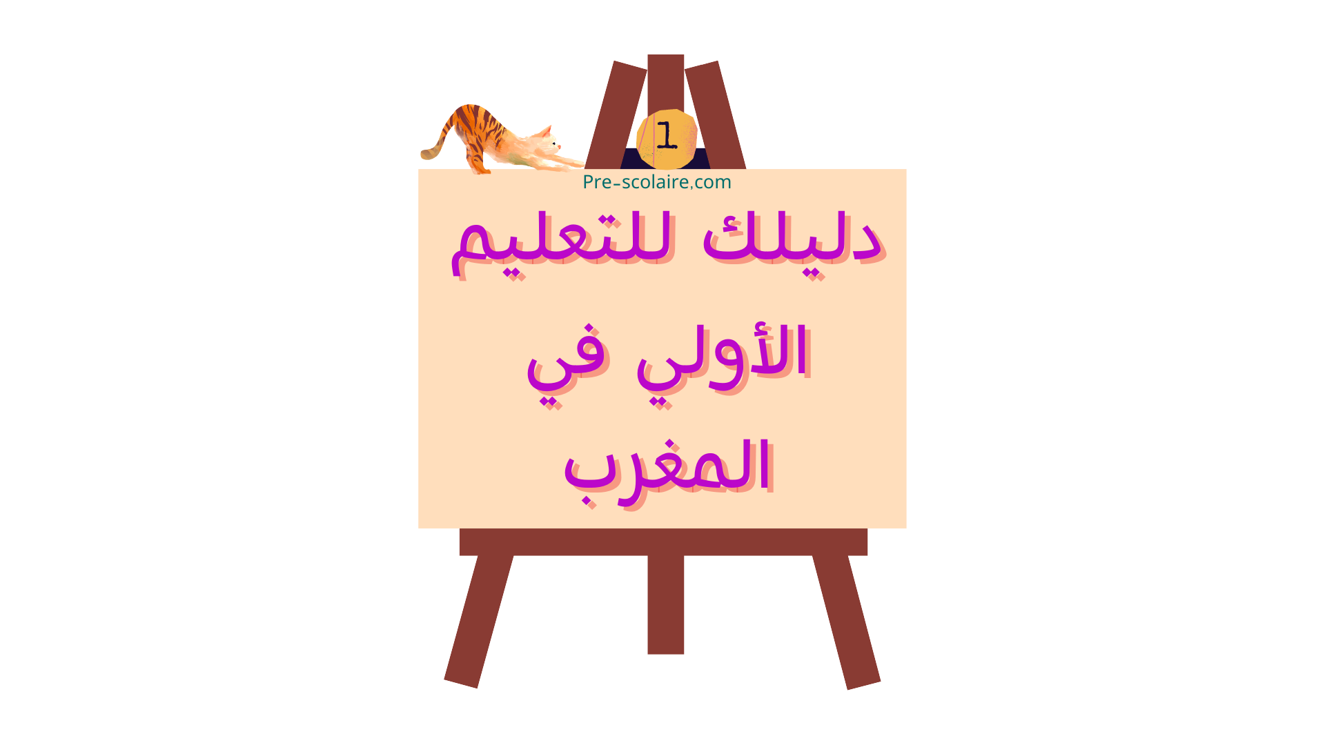 دليلك للتعليم الأولي في المغرب